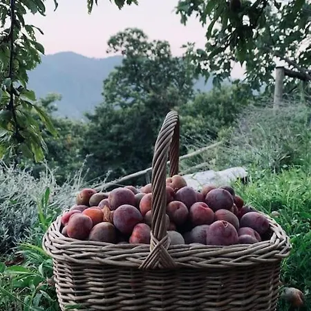 Lägenhet Il Riccio