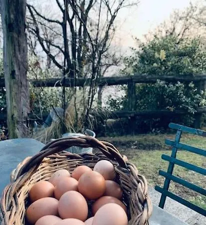 Lägenhet Il Riccio Cernobbio