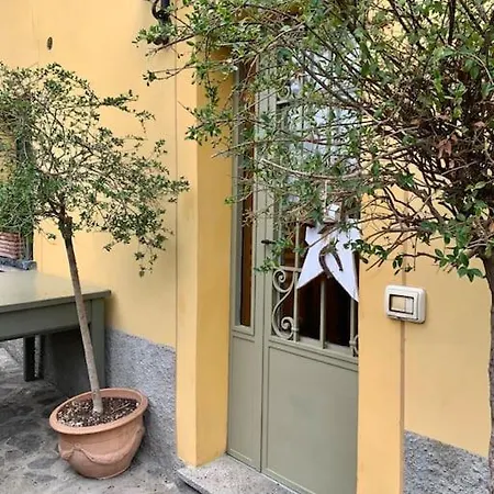 Il Riccio