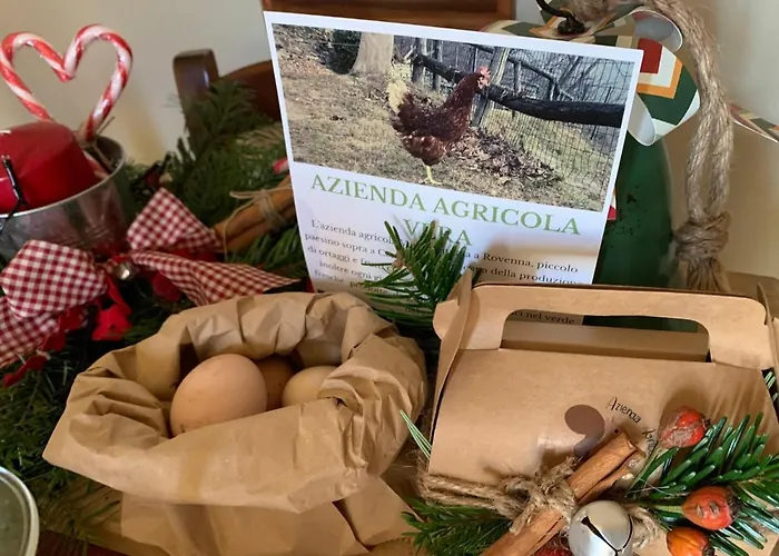 Appartement Il Riccio Cernobbio