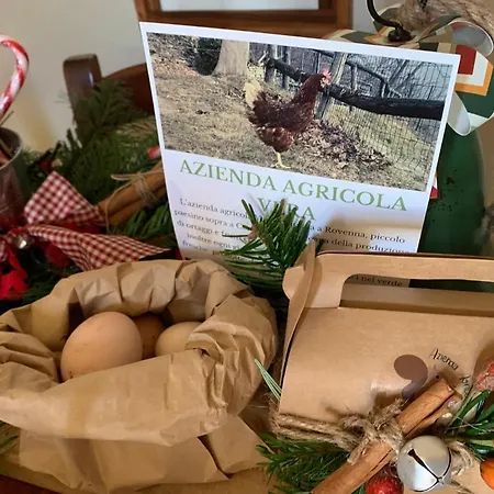 Daire Il Riccio Cernobbio