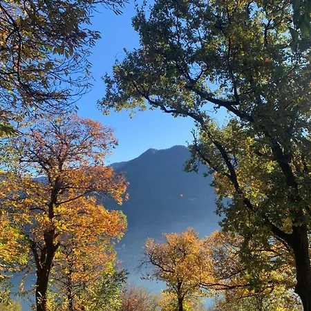 דירה Il Riccio צ'רנוביו