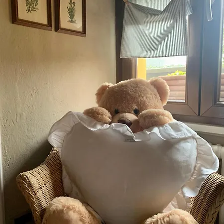 Apartamento Il Riccio *