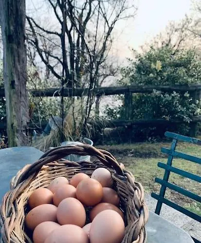 Apartamento Il Riccio Cernobbio