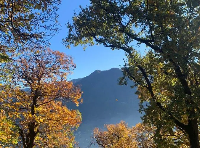 Apartmán Il Riccio Cernobbio