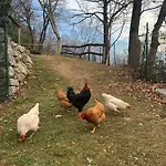 Il Riccio Cernobbio