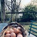 Apartman Il Riccio Cernobbio