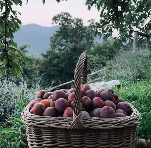 Апартаменты Il Riccio